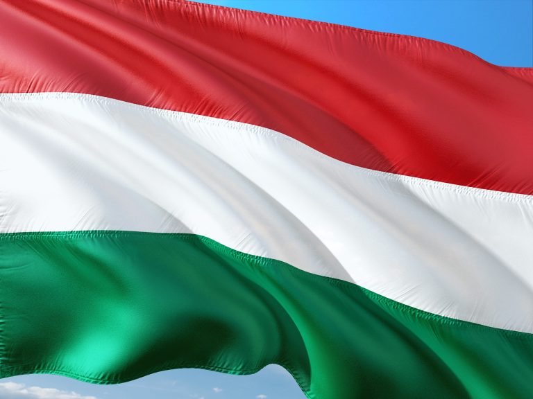 Northern Ireland and Ireland: Position Paper